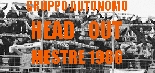 testo alternativo