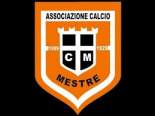 testo alternativo