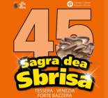 testo alternativo